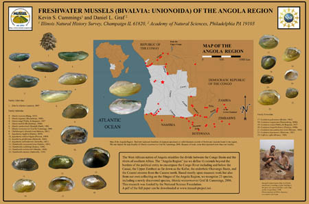 Freshwater mussels (Bivalvia: Unionoida) of the Angola Region